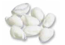 Load image into Gallery viewer, Peanut Sponge C-5 Holder 3/8 Inch
